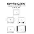 DANSAI CTV9313 Service Manual